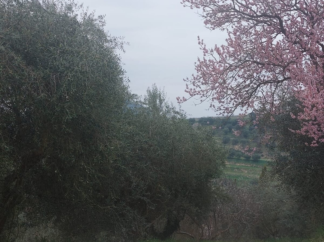 Cantina Terra Felice-Arqua Petrarca必去景点