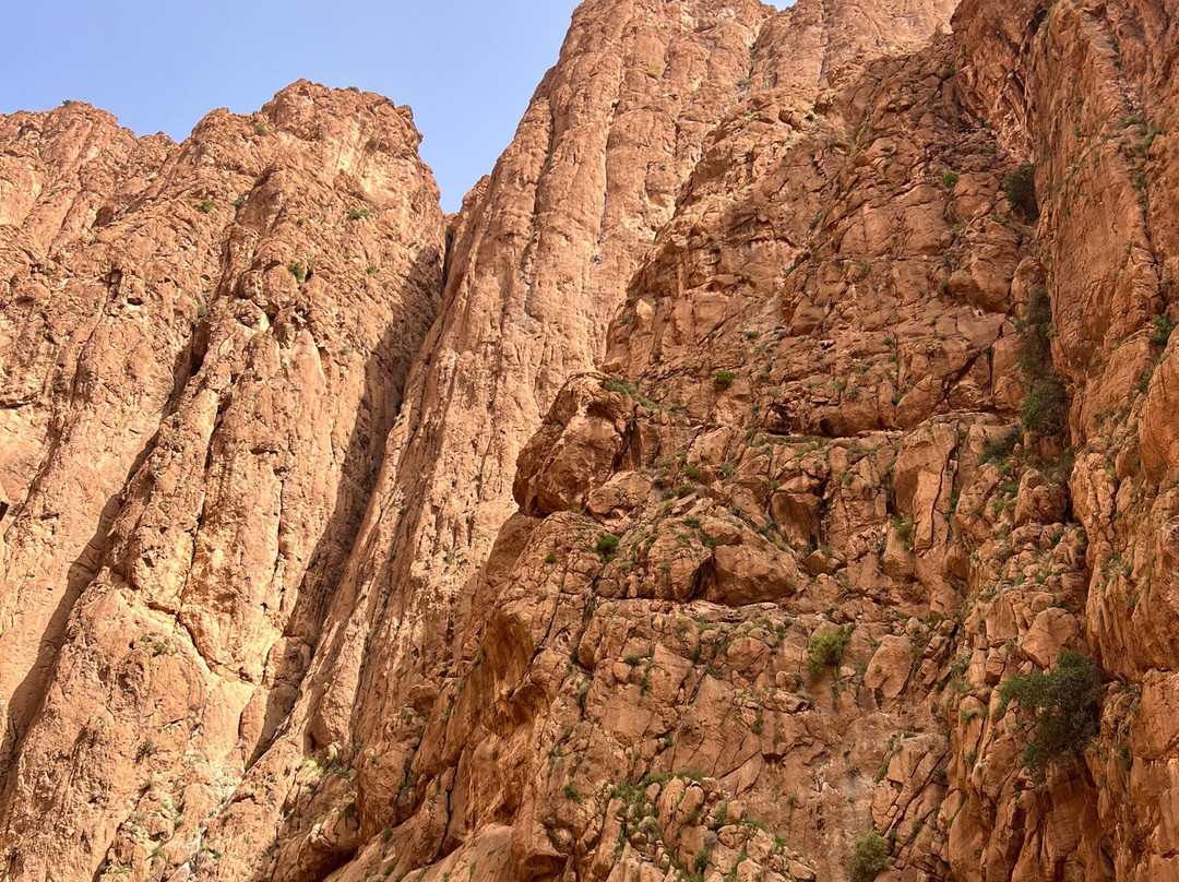 Sahara Light-扎古拉必去景点