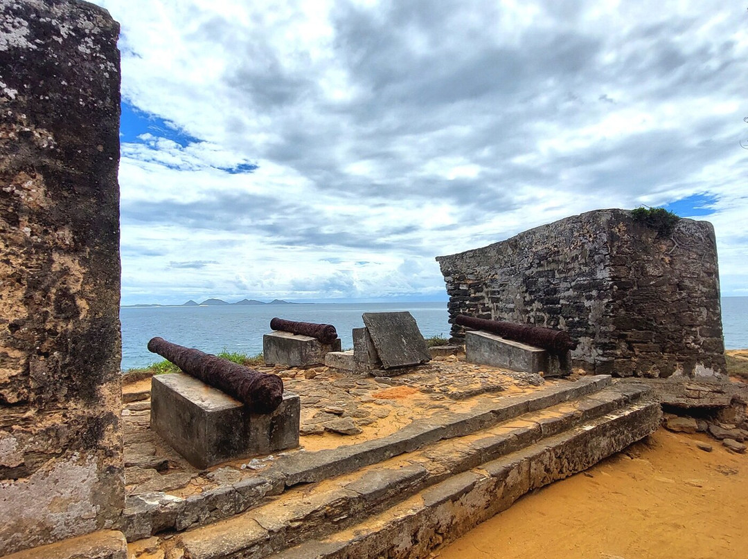 Musée Fort Flacourt景点图片