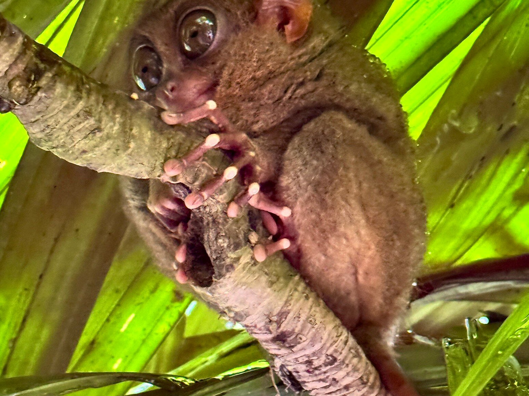 BSC史诗套房酒店主图