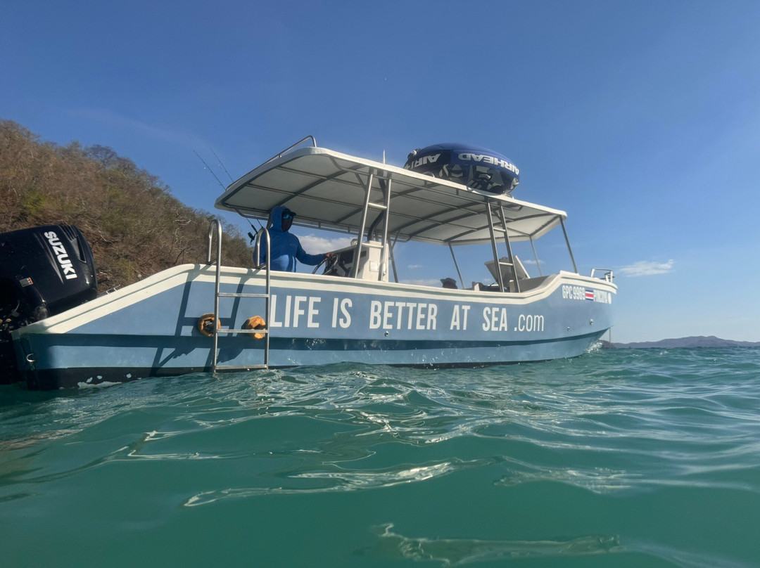 Life is Better at Sea景点图片