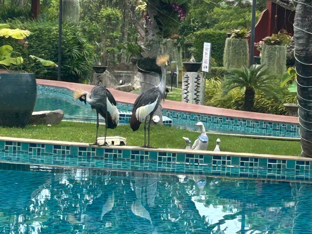 麦摩度假村主图