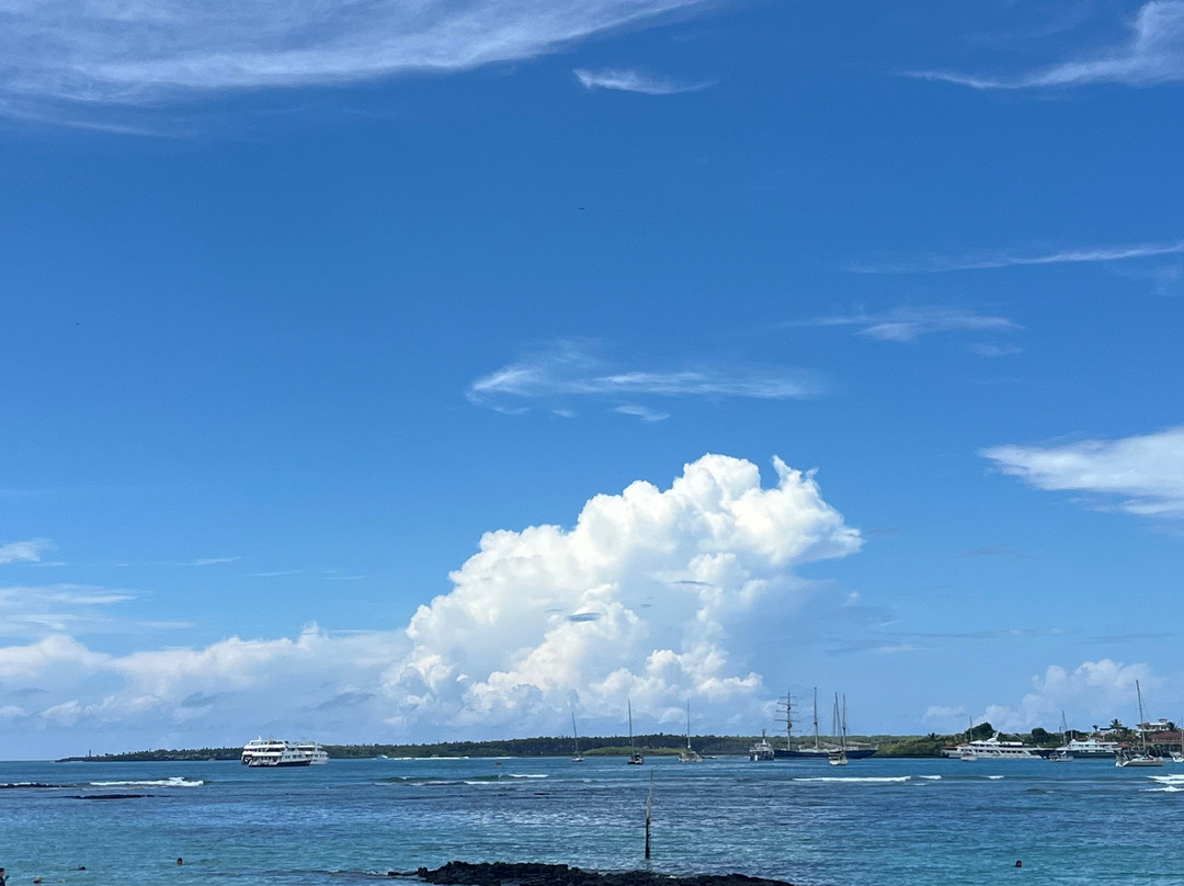 Hotel Galapagos Tortuga Bay主图