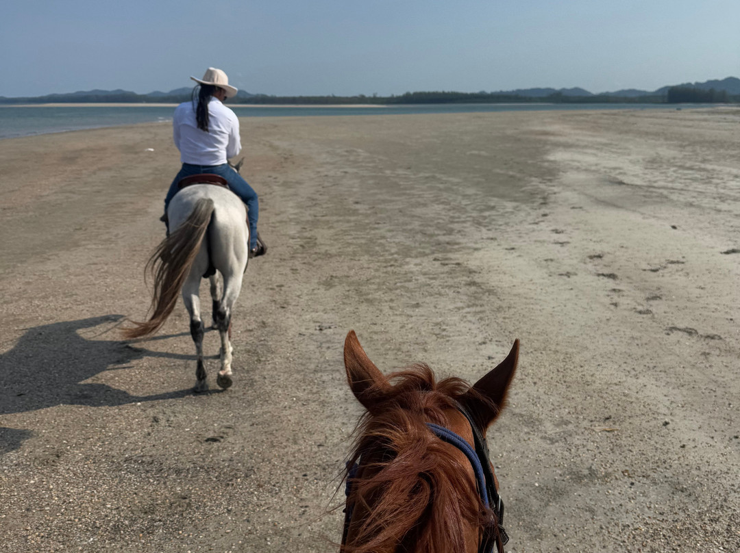 Pirates Bar Horse riding-兰塔岛必去景点
