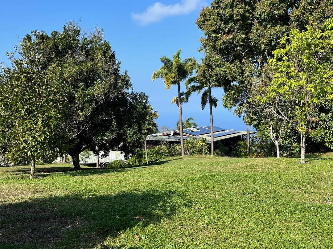 阿洛哈宾馆主图