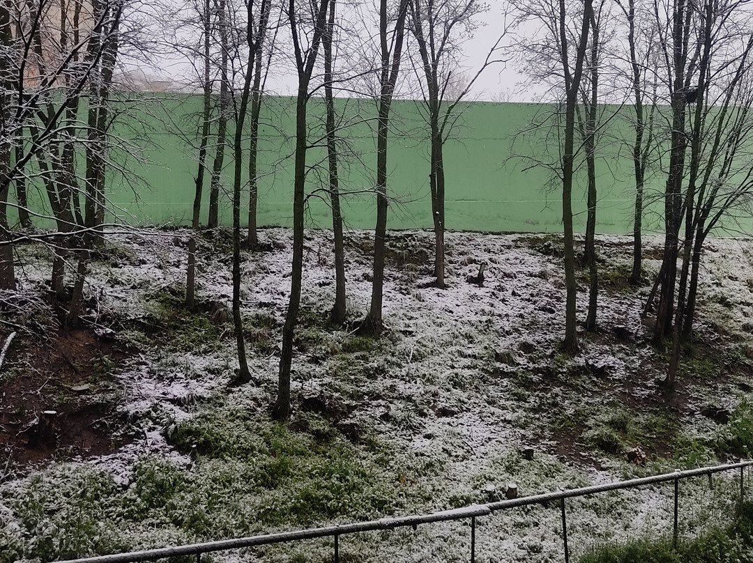 科雷希多酒店主图