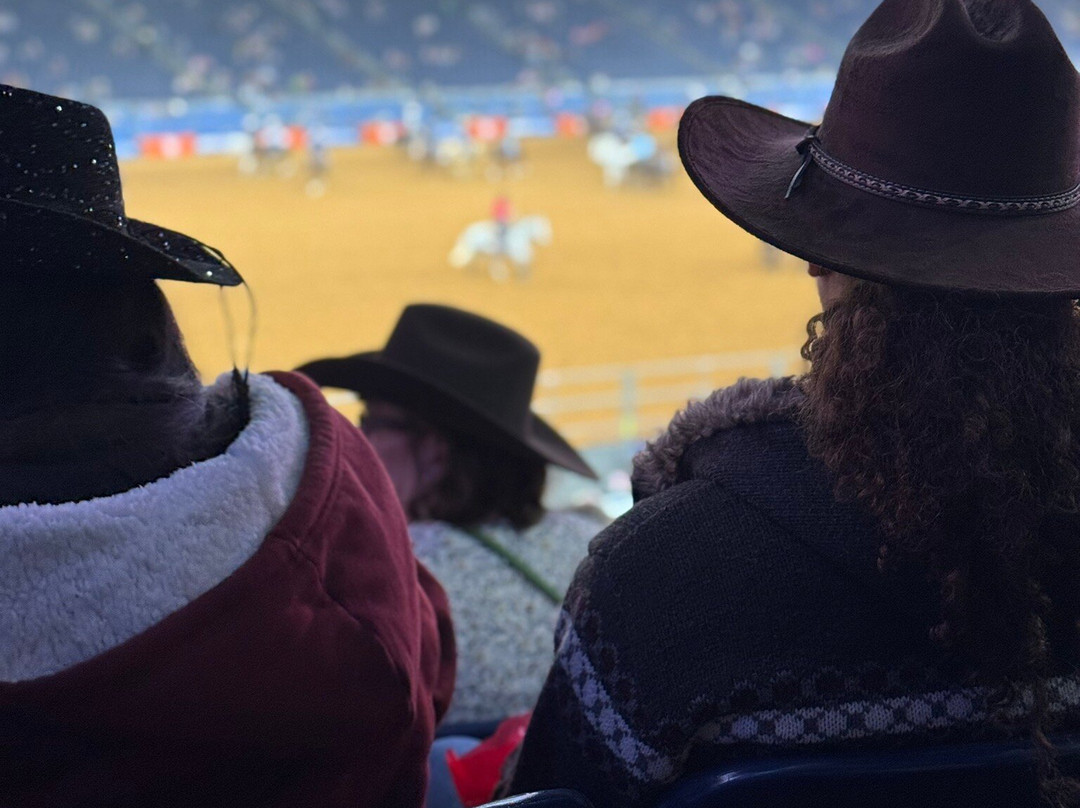 Rodeo Houston or Houston Livestock Show and Rodeo-休斯顿必去景点