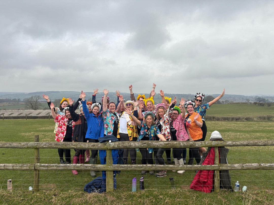 Farm Adventure Yorkshire景点图片