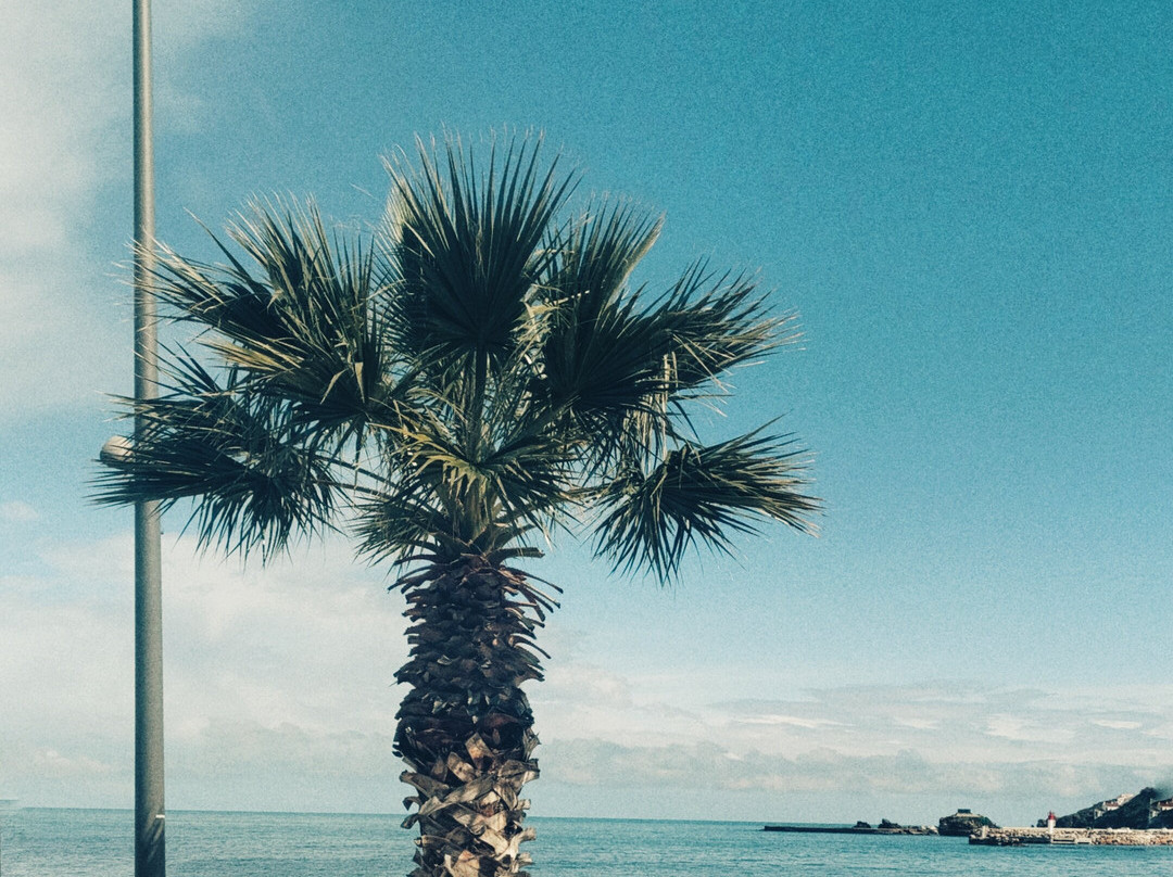Office De Tourisme De Banyuls-sur-mer景点图片