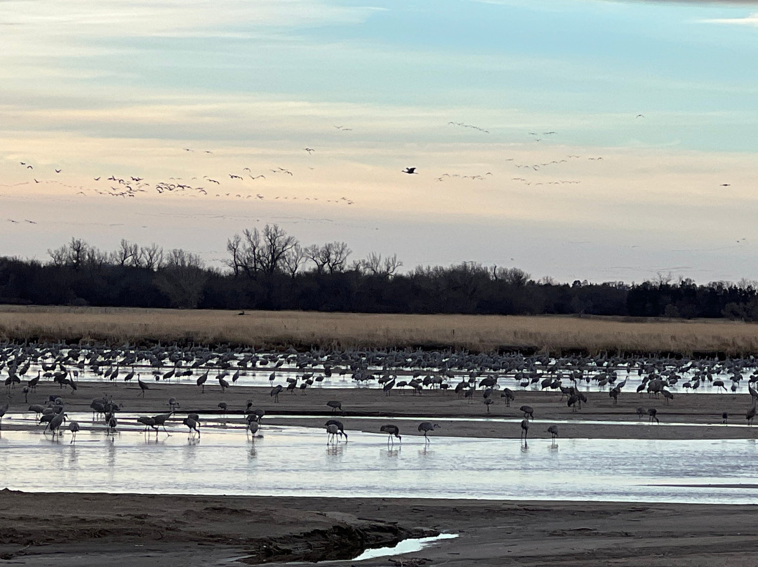 Crane Trust-Wood River必去景点