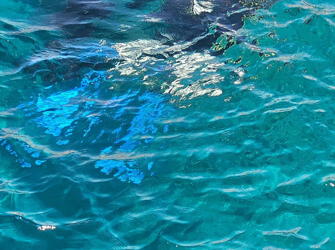 Sunshine Divers Mary & Klaus-沙姆沙伊赫必去景点