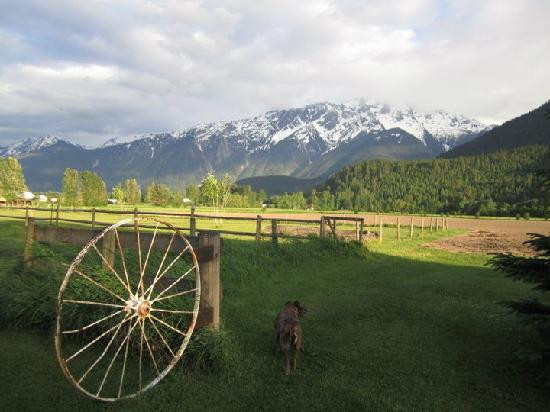 The Farmhouse Bed and Breakfast主图