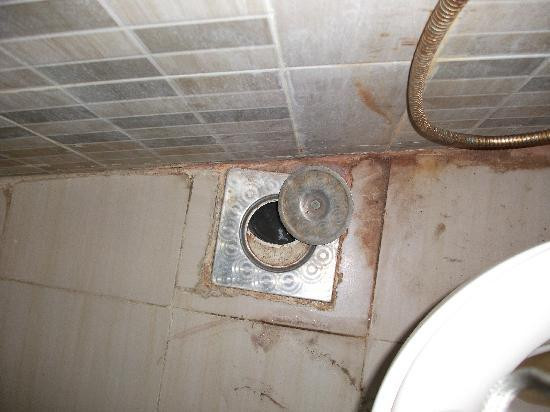 奥里贾纳达哈卜酒店主图