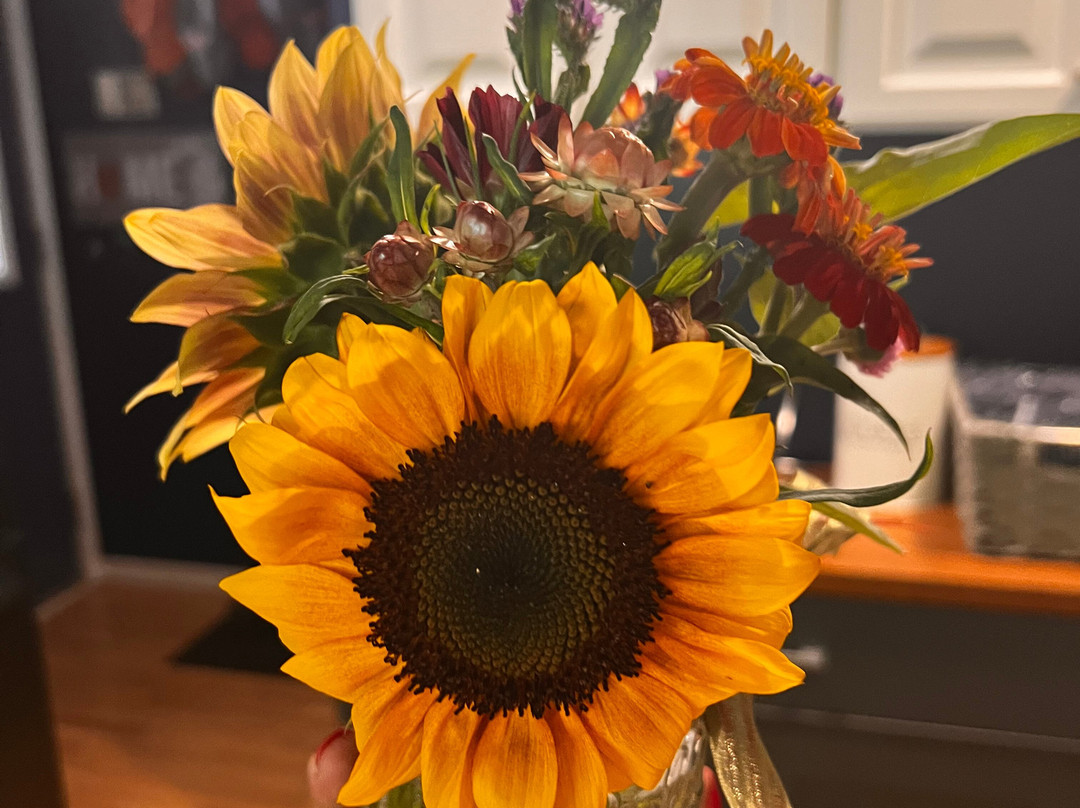 Bremer Produce U-Pick Flower Farm-Hudsonville必去景点