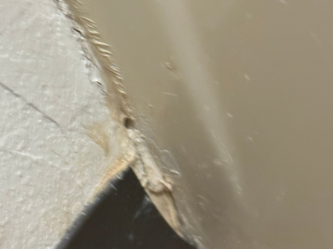 Days Inn by Wyndham Clemson主图