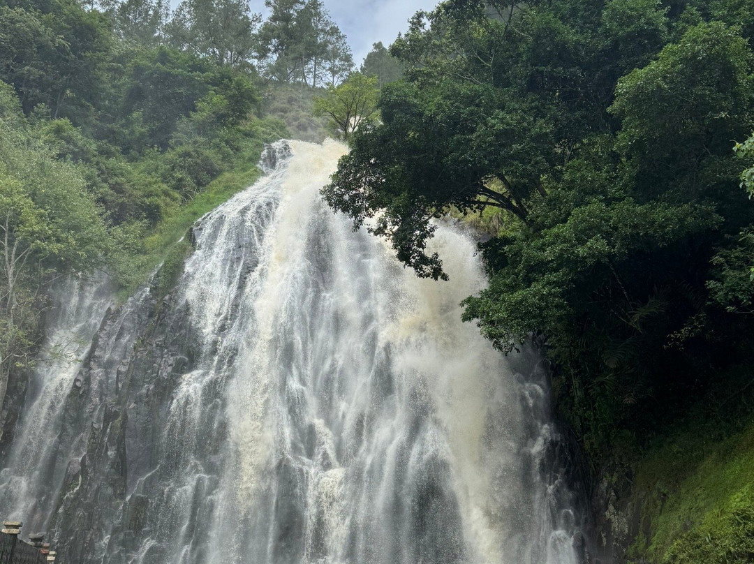 Toba Transporter-棉兰必去景点