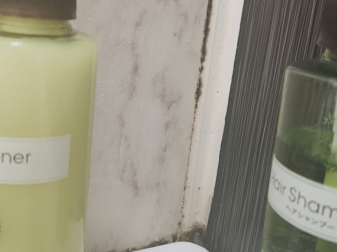 MYSTAYS 浅草酒店主图