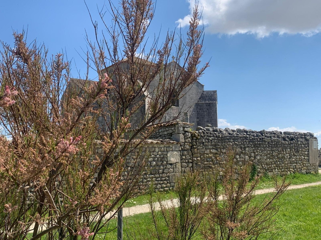Village Fortifié De Talmont Sur Gironde景点图片