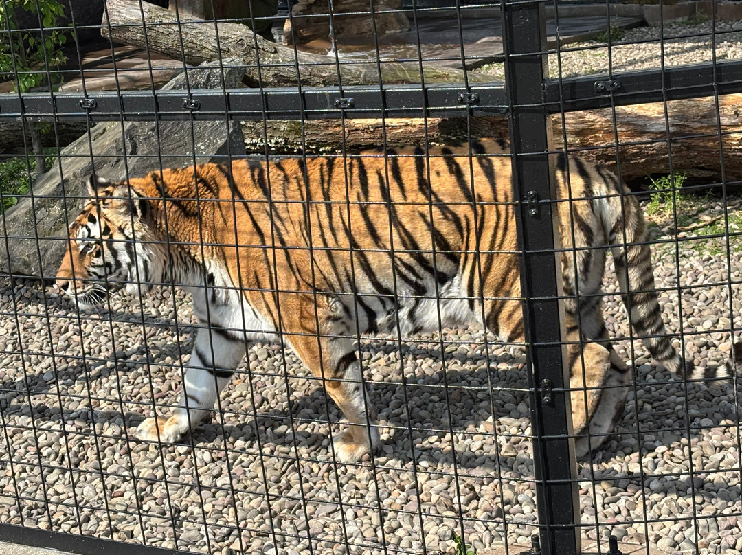 Lake Tobias Wildlife Park景点图片