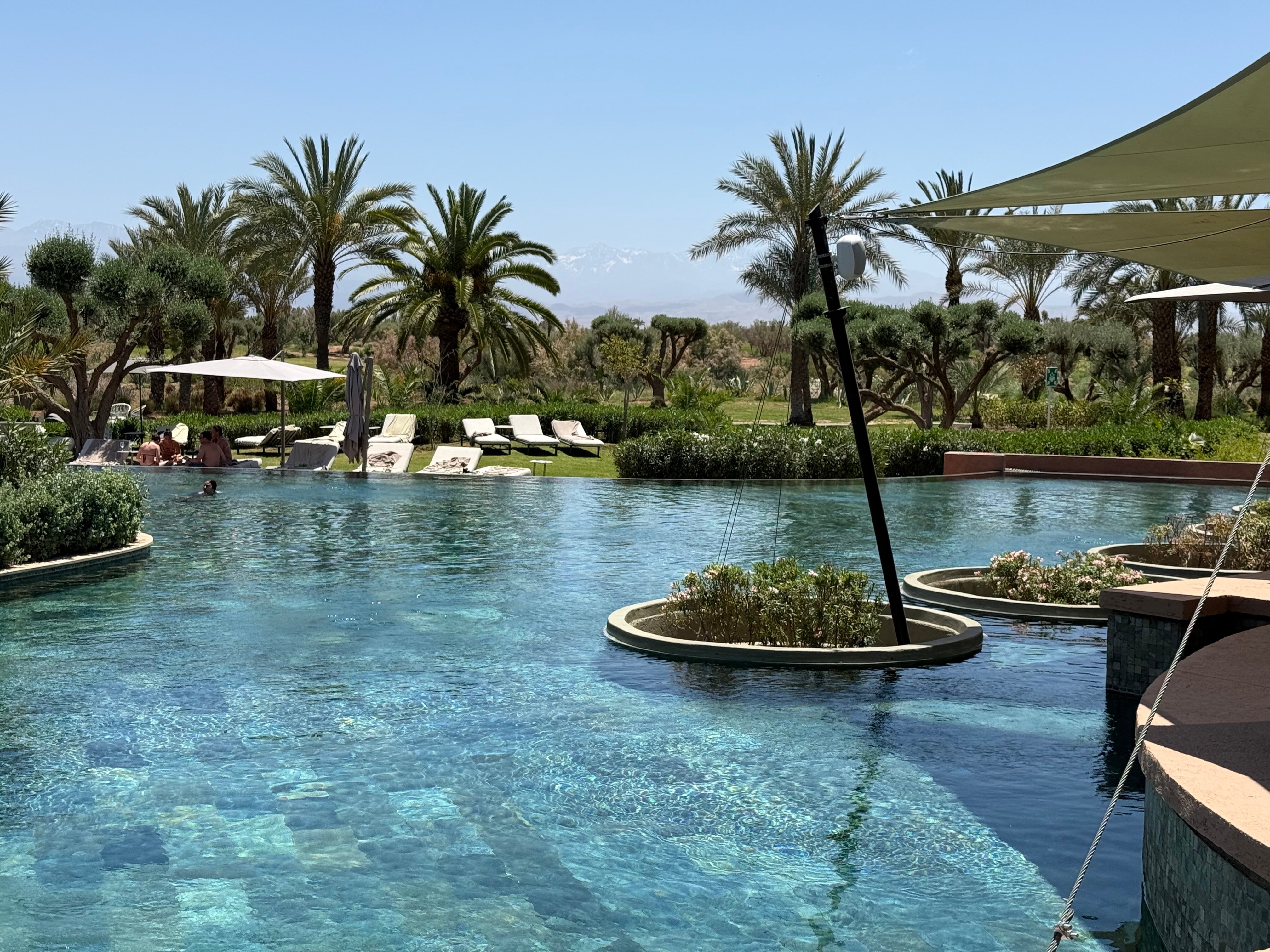 Fairmont Royal Palm Marrakech-泳池