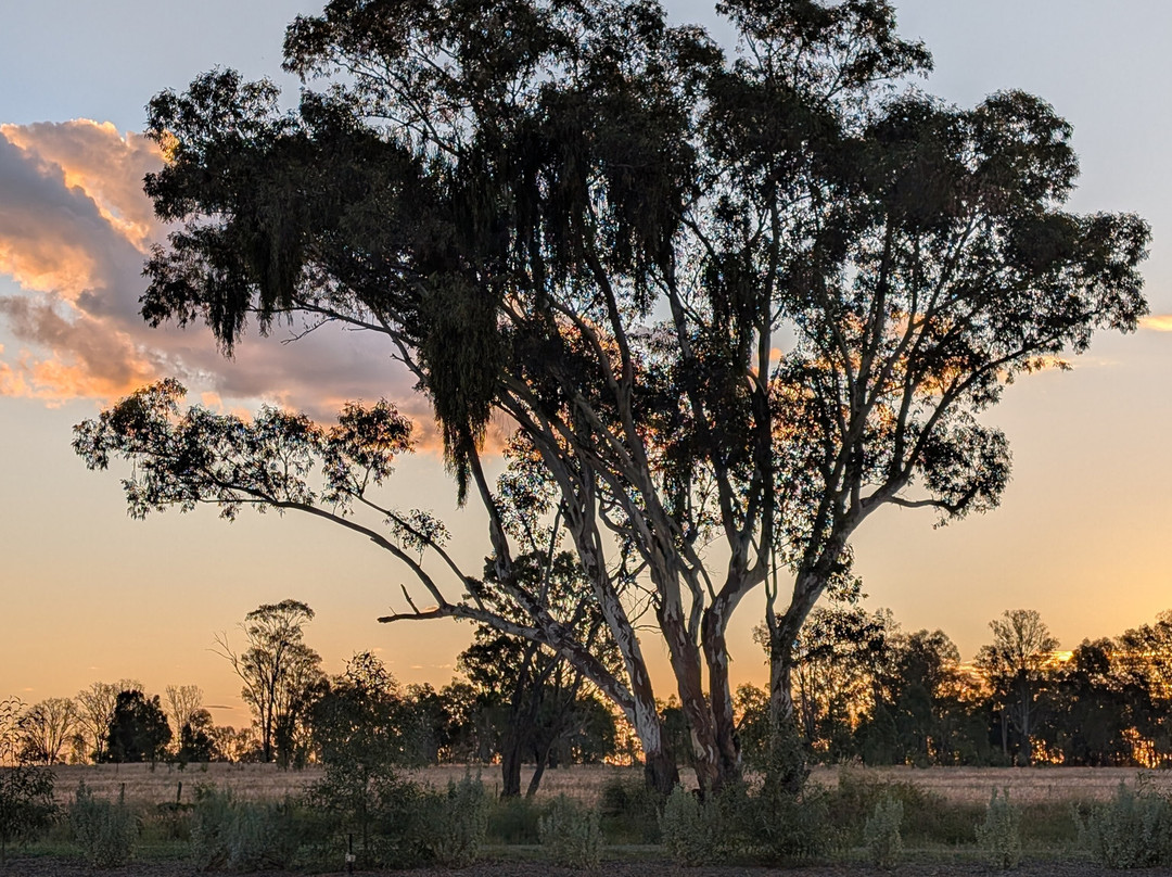 Western Queensland Spirit-Roma必去景点