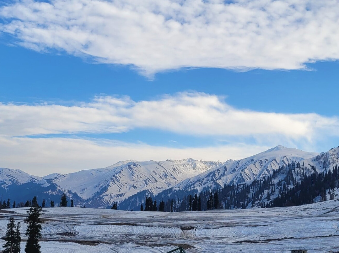 Apharwat Peak景点图片