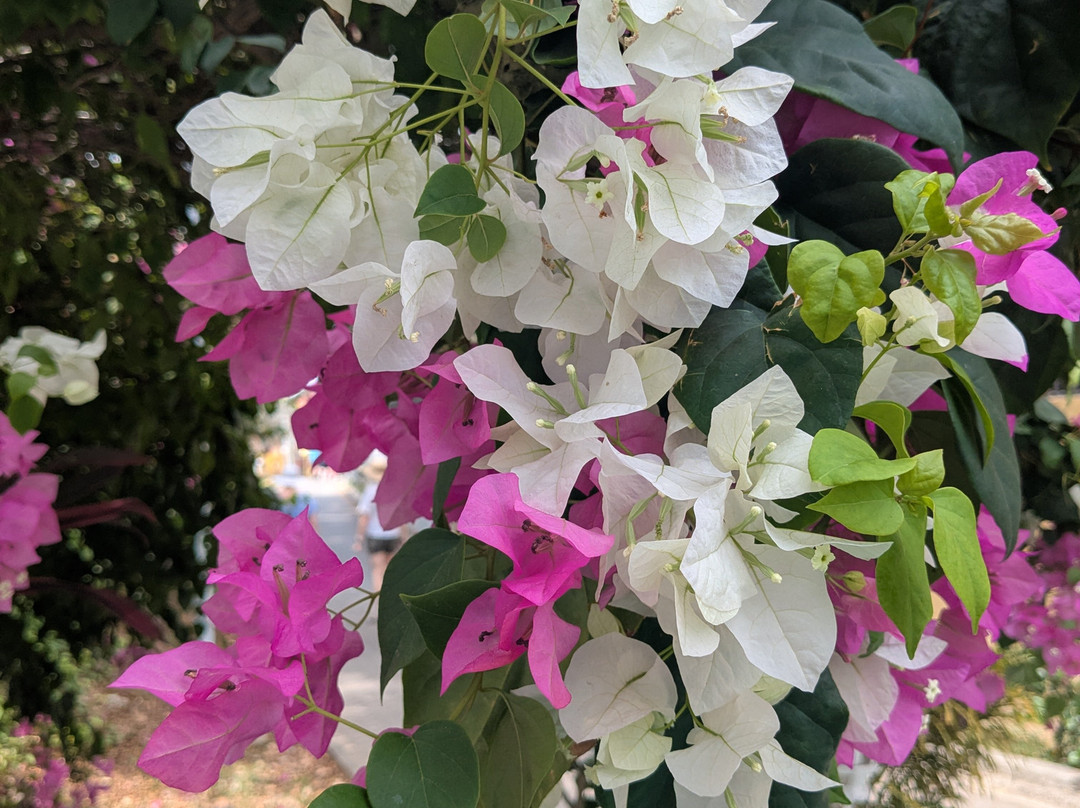 Taboga Palace SPA Hotel主图