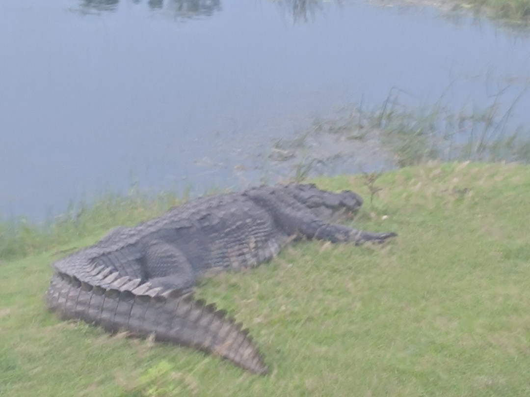 Safari Panama Sri Lanka-Panama必去景点