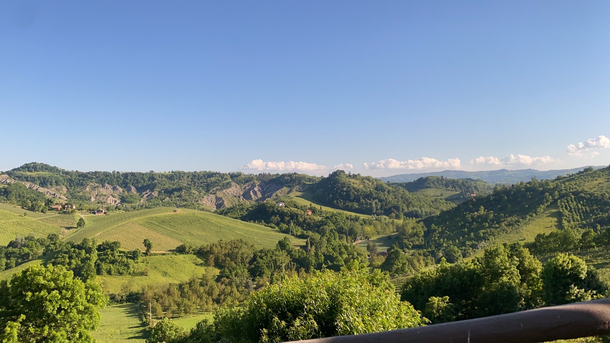 Locanda Gli Ulivi-官方