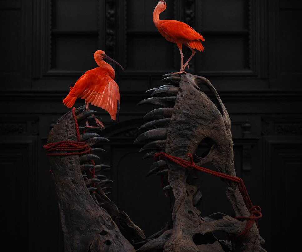 Art Zoo Museum-阿姆斯特丹必去景点