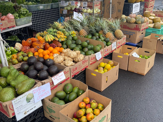 Kona Farmers Market-凯鲁瓦-柯纳必去景点