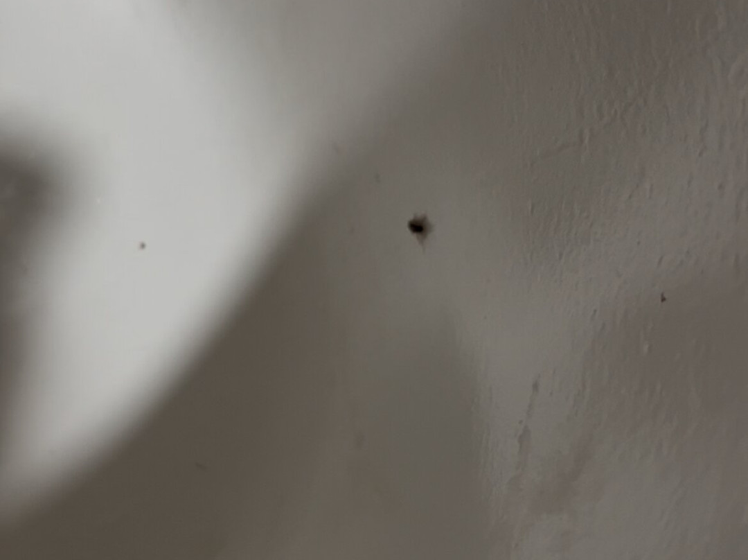 Comfort Suites near MCS Beaufort主图