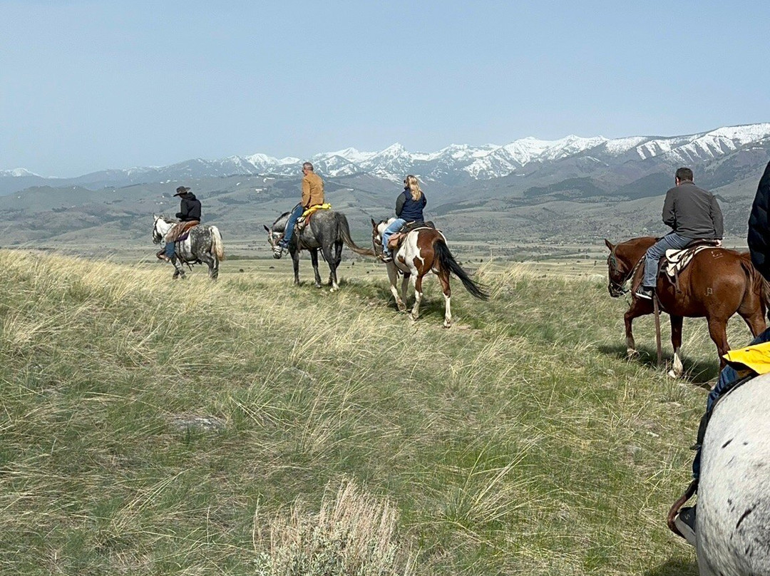 Rockin' HK Outfitters-Chico必去景点