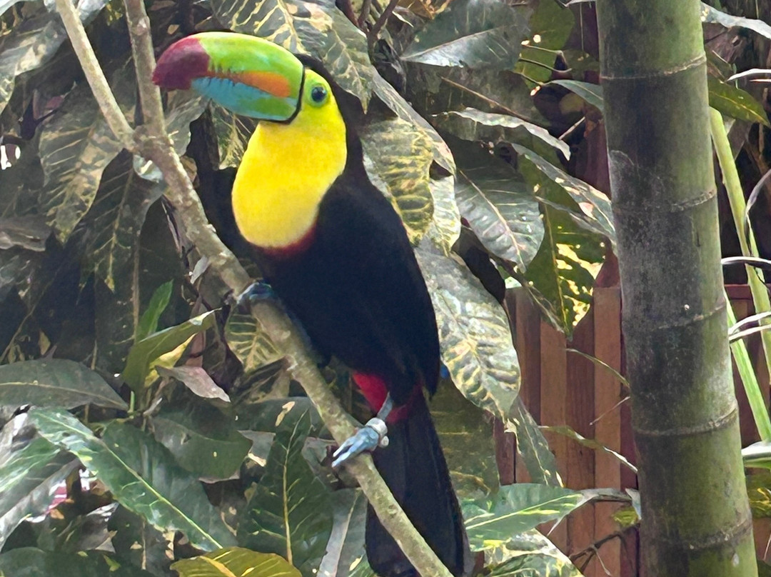 Kalkonu Travel-Ciudad Colon必去景点