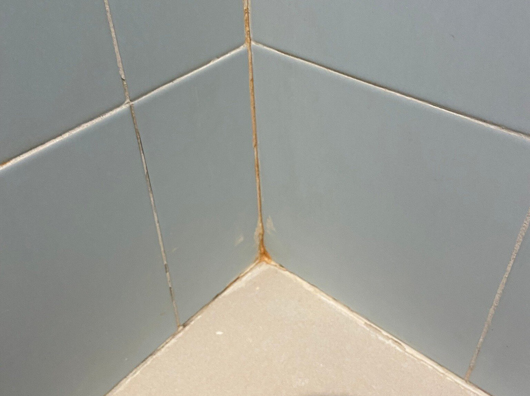 亚特兰蒂斯酒店主图