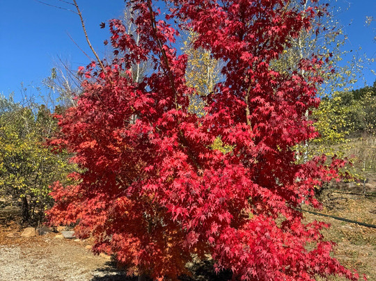 Country Food Trails-奥兰治必去景点