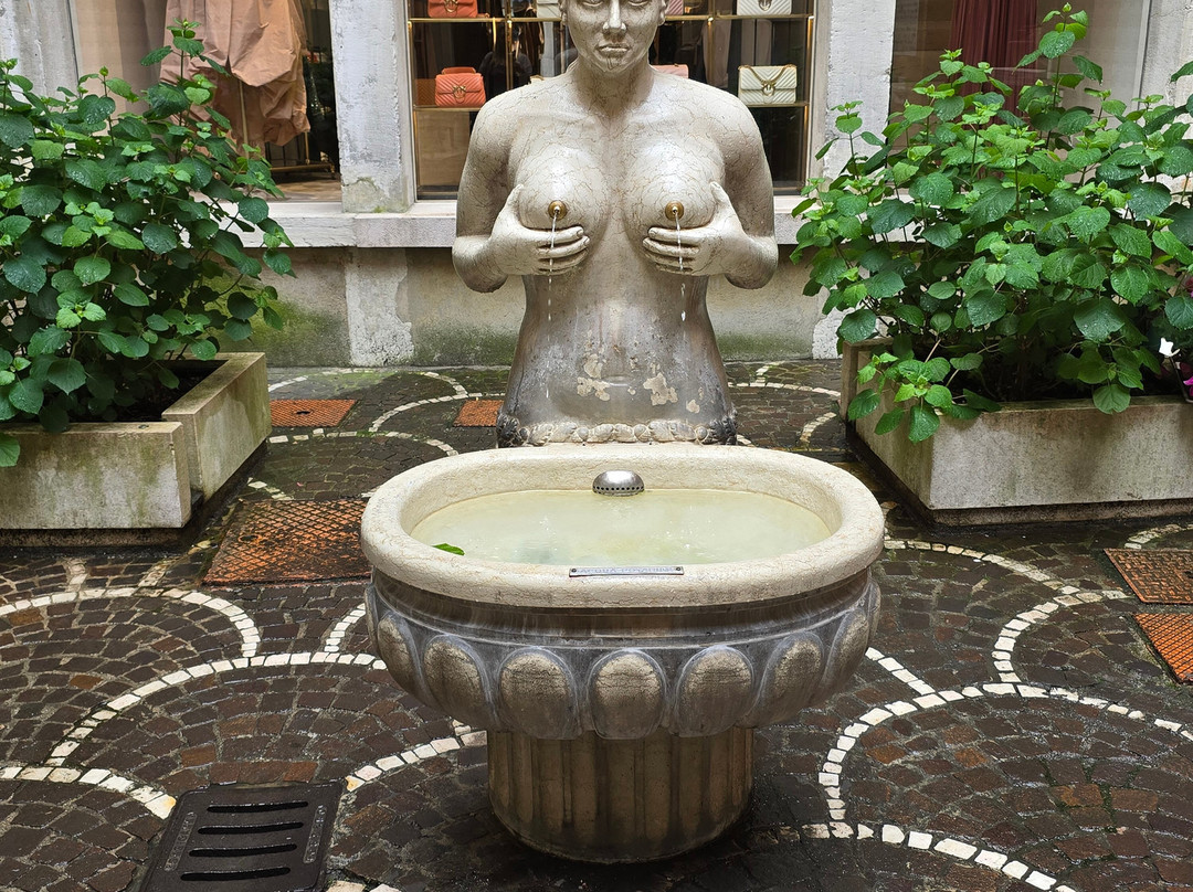 Fontana delle Tette-特雷维索必去景点