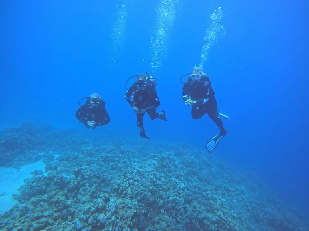 ORCA Dive Club Soma Bay景点图片