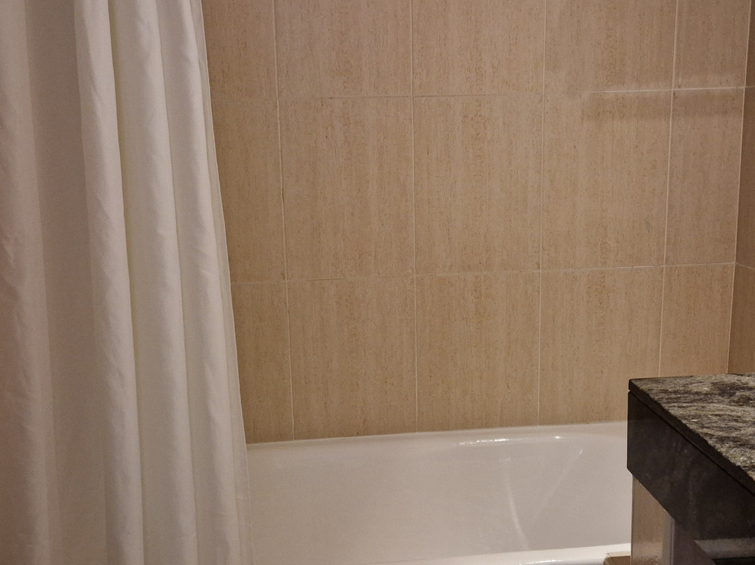 伊潘内玛海滩酒店主图