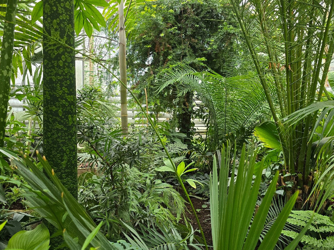 Botanical Garden景点图片