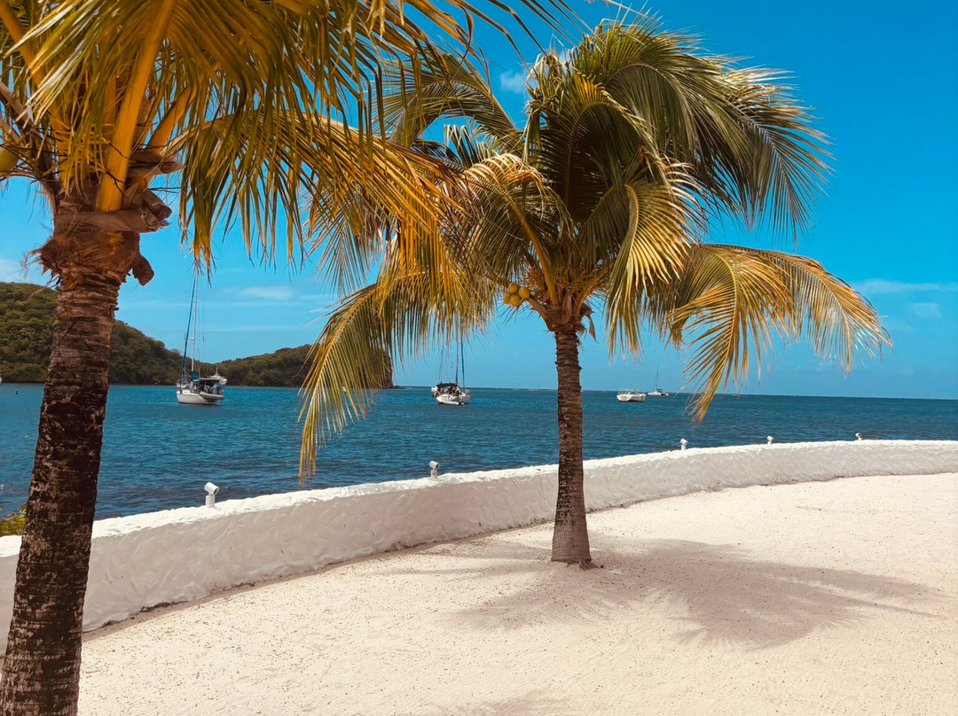 Mount Hartman Bay Estate主图