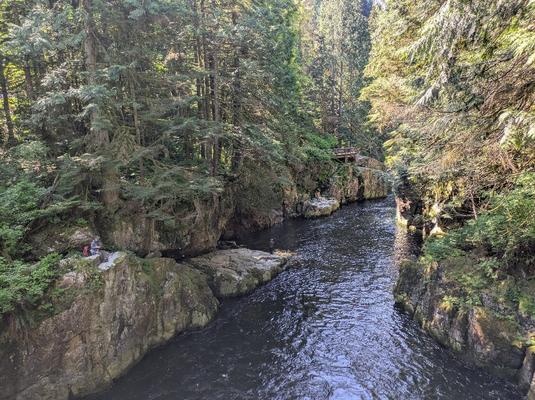 Capilano River Regional Park-北温哥华必去景点