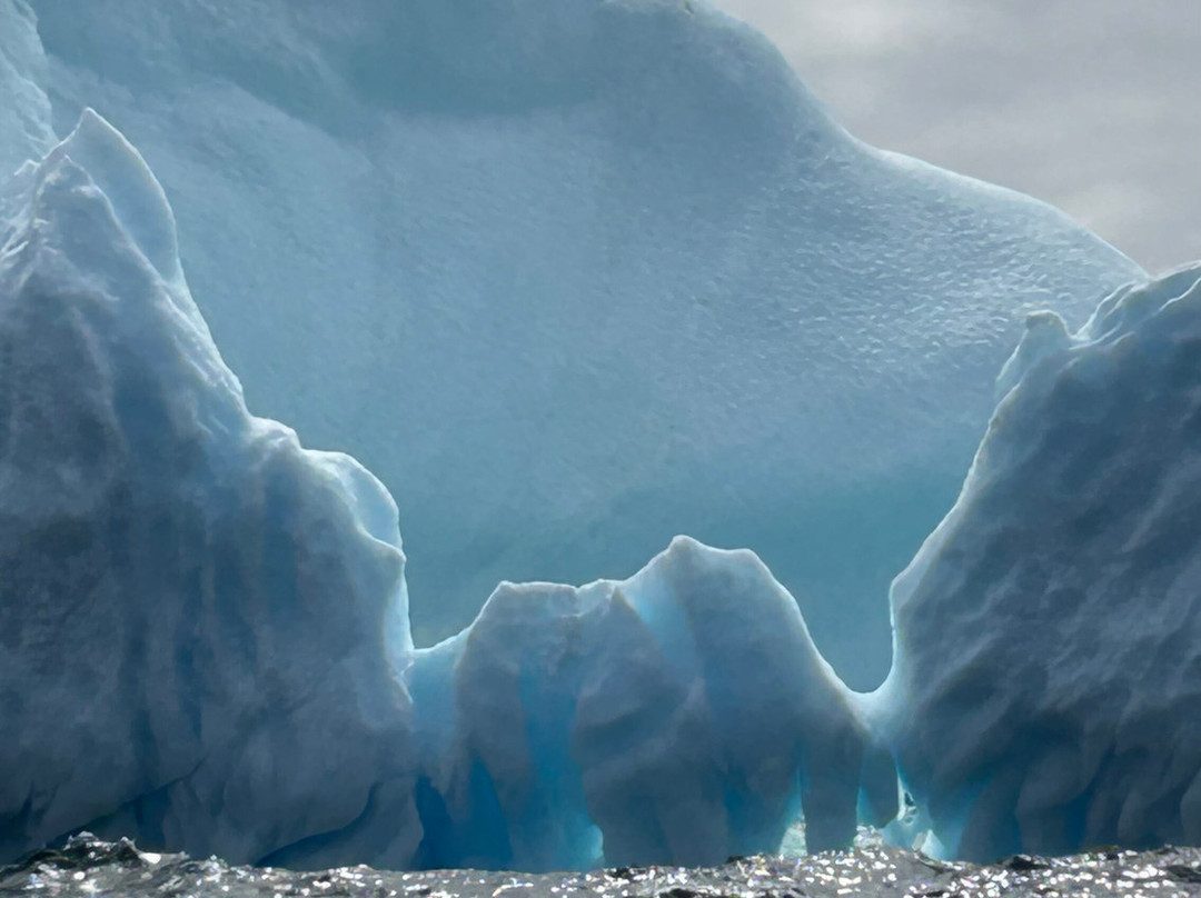 Iceberg Alley Boat Tours-St. Anthony必去景点
