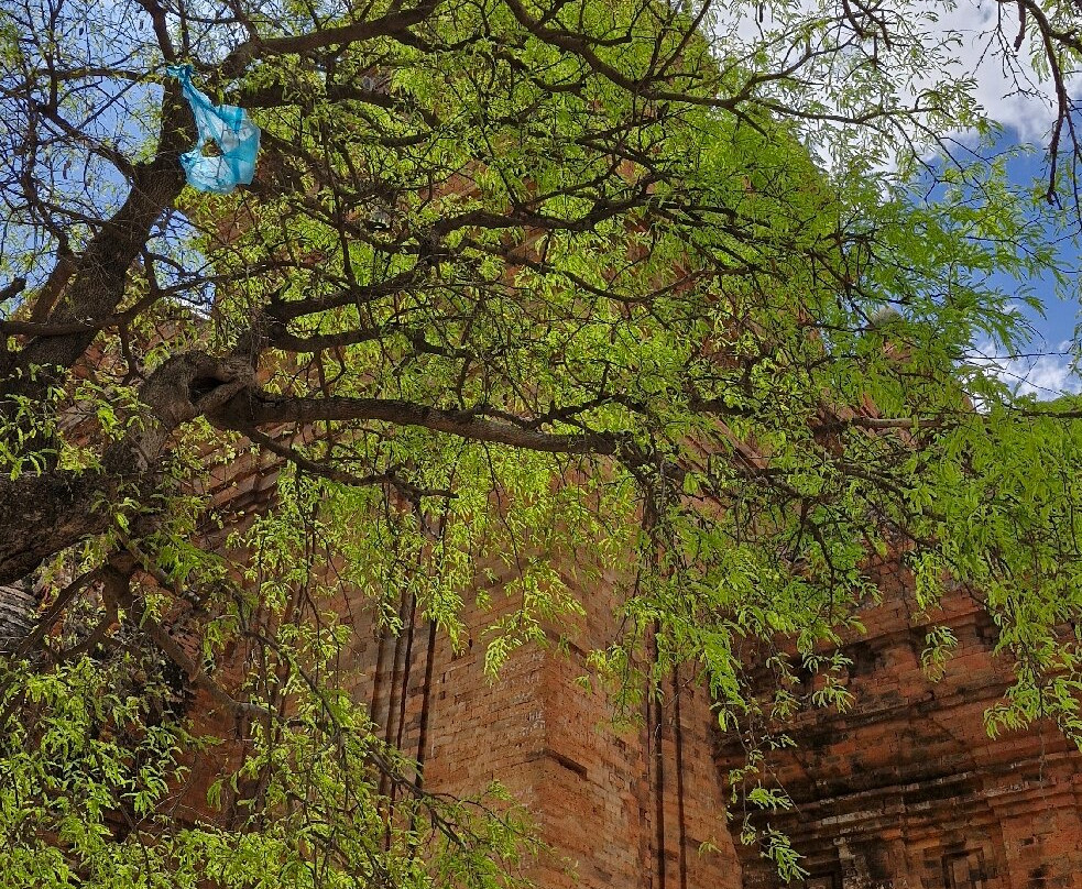 Po Klong Garai Cham Temple Towers景点图片