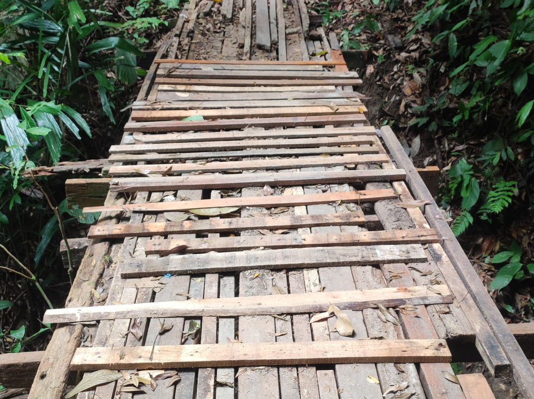 Bukit Larut景点图片