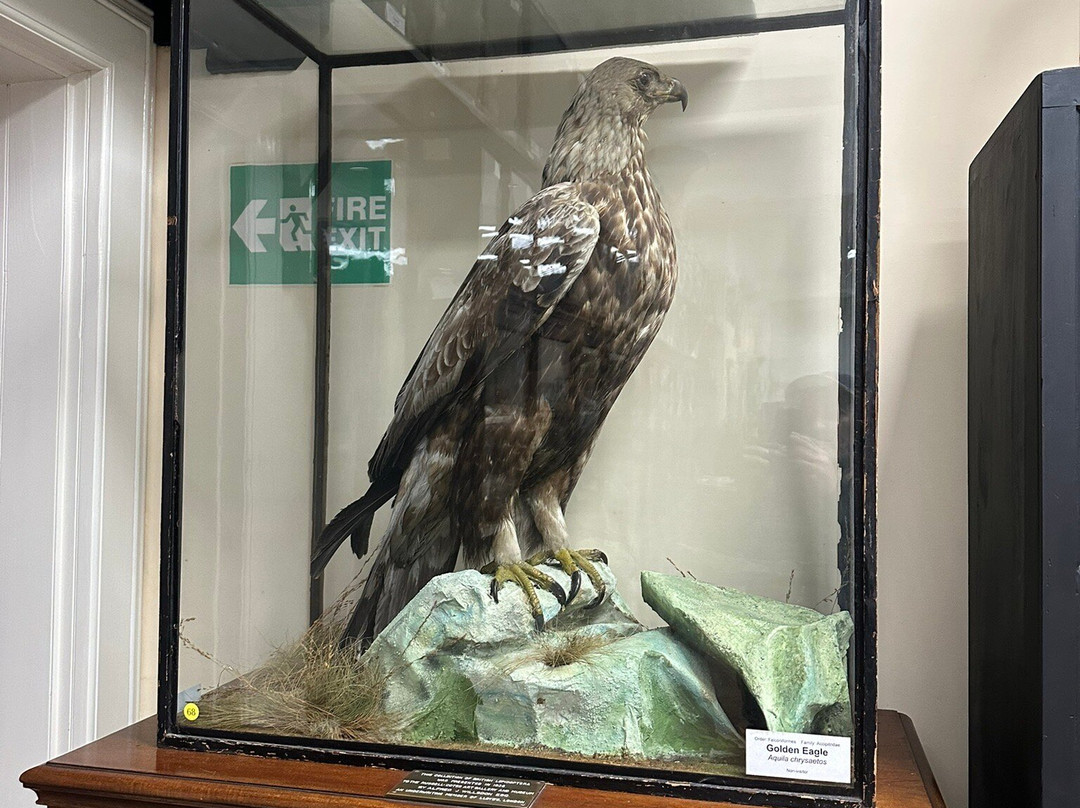 Bournemouth Natural Science Society-伯恩茅斯必去景点