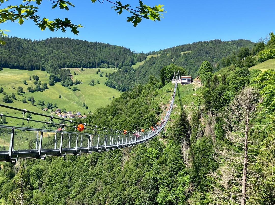Blackforestline Hangebrucke-托特瑙必去景点