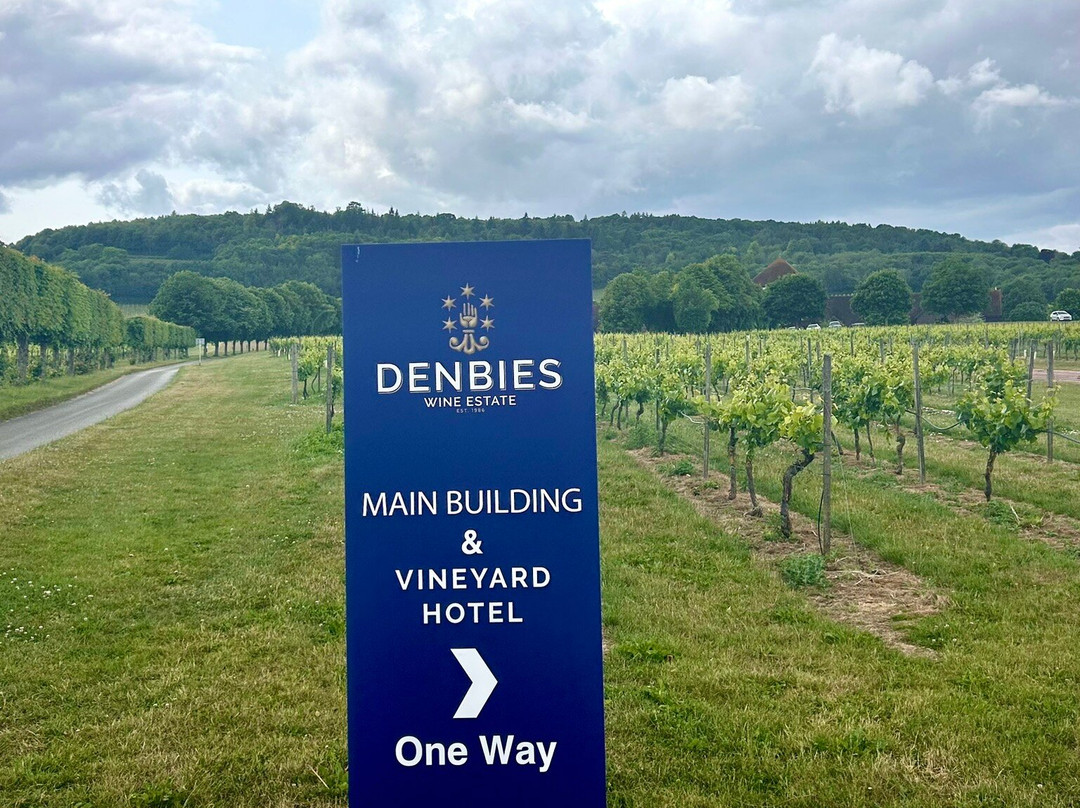 Denbies Wine Estate Ltd景点图片