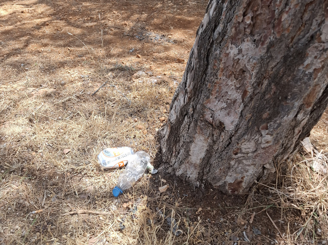 Pykni Picnic Site-卡西卡斯必去景点