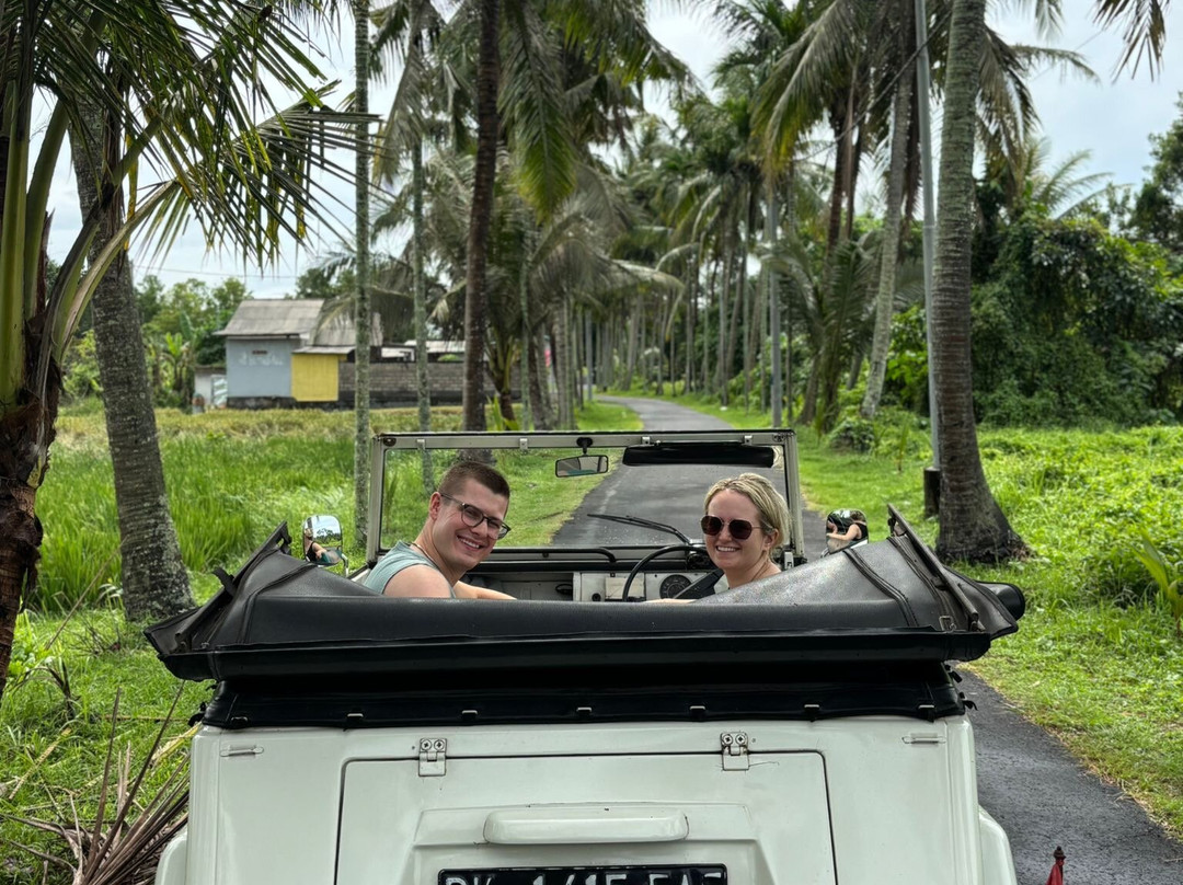 Bali Luxury Tour-吉安雅必去景点